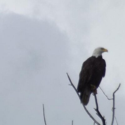Profile Picture of Dave  McFarland (@dave_6054) on Twitter