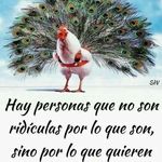 Profile Picture of Amanda Araceli (@amanda.araceli.33) on Instagram