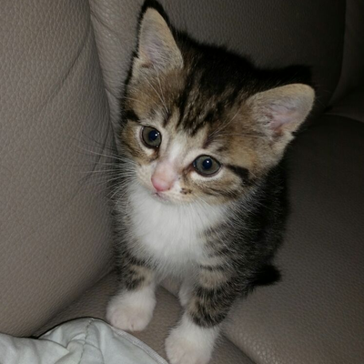 Profile Picture of Daniela Fischer (@Daniela94850371) on Twitter