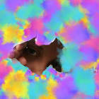 Profile Picture of   Ana_13579 (@ana_246802)... (@ana_246802) on Tiktok