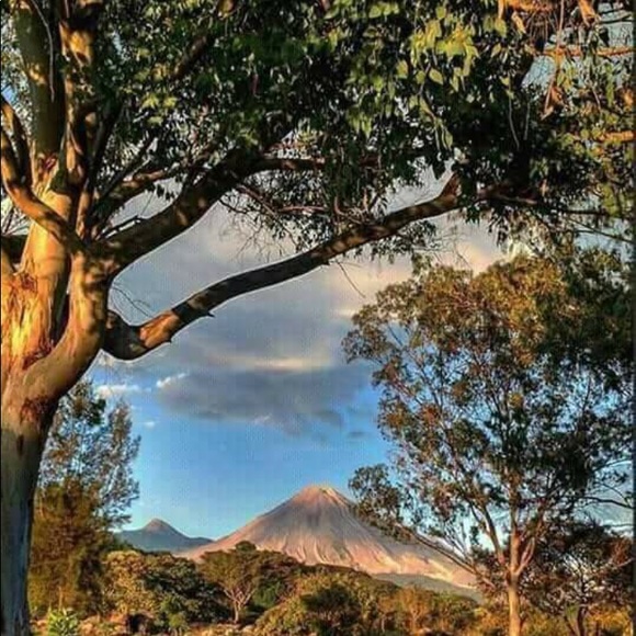 Profile Picture of Sagui Deniz (@saguideniz) on Poshmark