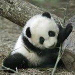 Profile Picture of Katelyn Eubanks (@katelynni) on Instagram