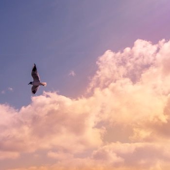 Profile Picture of Antwan Latona Howell (@5high5guru) on Twitter