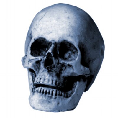 Profile Picture of Sam Bloom (@Samcena13) on Twitter