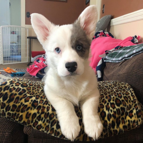 Profile Picture of Andy Cassarino (@cassarinovt) on Poshmark