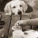 Profile Picture of Linda Sue O'Connor (@lindasoconnor) on Pinterest