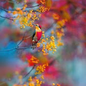 Profile Picture of Michael Perry (@michaelperry8266) on Youtube