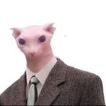 Aaron Bolaños - Instagram Profile Picture of Aaron Bolaños (@aaronbolanos99) on Instagram