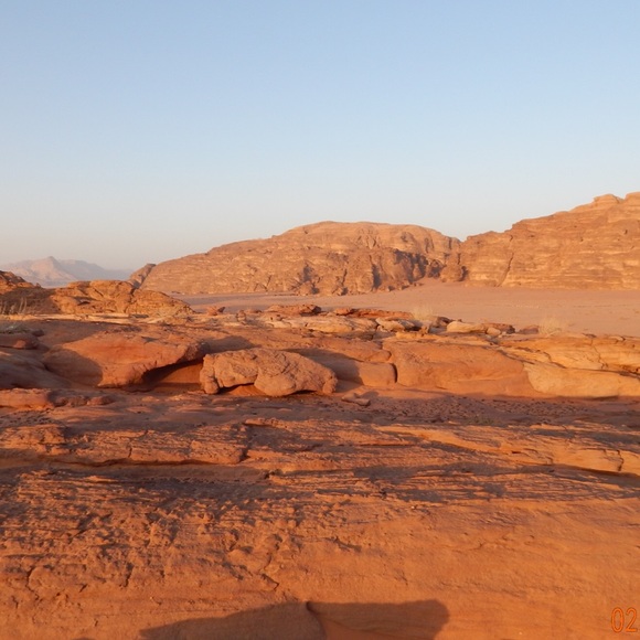 Profile Picture of Sylvia Wiesmann (@silvs89) on Poshmark