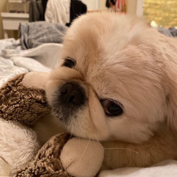 Greg Garrod - Poshmark Profile Picture of Greg Garrod (@greggarrod) on Poshmark