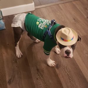 Profile Picture of Bobbie Mccurry (@bobbiemccurry) on Tiktok