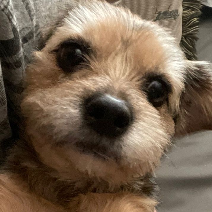 Profile Picture of AmberAckerman (@@amberackerman) on Tiktok