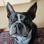 Profile Picture of Daniel D'Aoust (@daniel.daoust.79) on Instagram