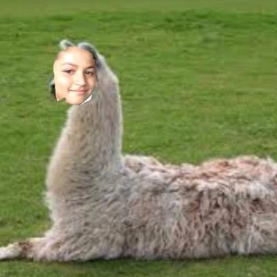 Profile Picture of Ian Guy (@ian_saenz) on Twitter