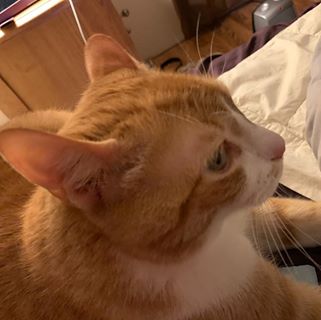 Profile Picture of Renee' MacKeller Sheffer (@renee.mackellersheffer) on Facebook