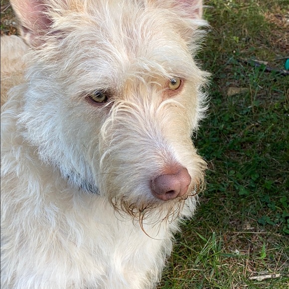 Marina Penney - Poshmark Profile Picture of Marina Penney (@marinapenney11) on Poshmark