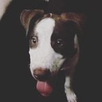 Profile Picture of Jamone McDowell (@jamone____) on Instagram
