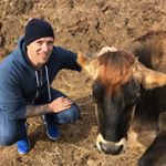 Profile Picture of Greg Proctor (@greg_proctor_) on Instagram