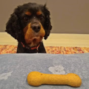 Profile Picture of Steve Eversfield (@eversfs) on Youtube