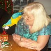 Profile Picture of Kim Braverman (@kbabe449) on Pinterest