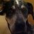 Profile Picture of Jennifer Haase (@jenniferhaase52) on Pinterest