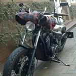 Profile Picture of Marion Kirsch (@kirsch7683) on Instagram