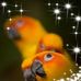 Profile Picture of Jenny Grapa (@jenny.grapa.357) on Facebook