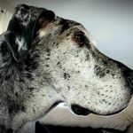 Profile Picture of Brian Javorsky (@brianjavorsky) on Instagram