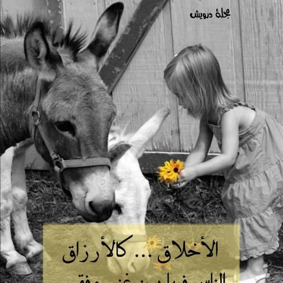 Profile Picture of Amira Adam (@amiraadam288) on Poshmark