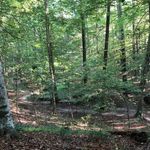 Profile Picture of David Barkocy (@davidbarkocy) on Instagram