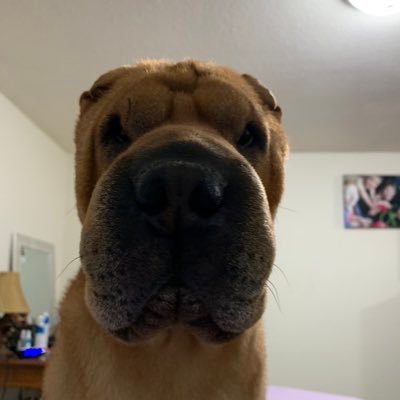 Travis Lindner - Twitter Profile Picture of Travis Lindner (@lindner_travis) on Twitter