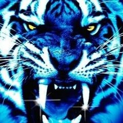 Profile Picture of Gordon Osborne (@gordonosborne) on Twitter