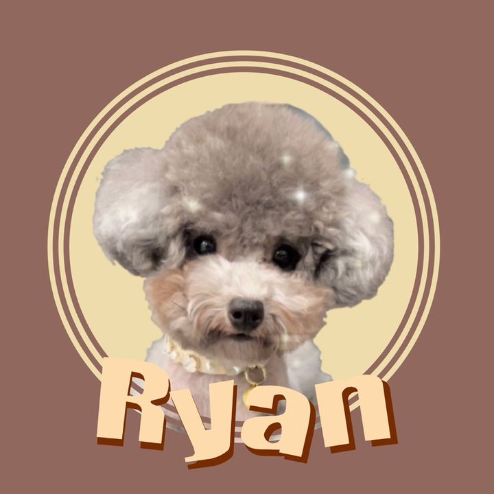 ライアン氏👑 - Tiktok Profile Picture of ライアン氏👑 (@ryan_toypu) on Tiktok