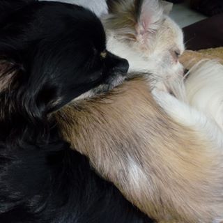 Patty Vanderbruggen - Facebook Profile Picture of Patty Vanderbruggen (@patty.vanderbruggen.96) on Facebook