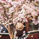 Profile Picture of Julia Dickson (@_j.dickson_) on Instagram