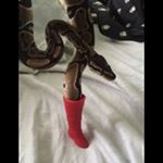 Profile Picture of Geoffrey Smith (@poopdudeog) on Instagram