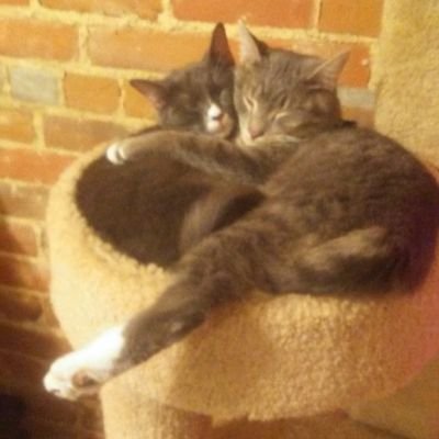 Profile Picture of Jason L Rieper (@jason_rieper) on Twitter