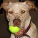 Profile Picture of Nancy Collison (@nan332) on Pinterest
