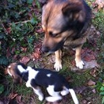 Profile Picture of John Kirkland (@lordlatesthear) on Instagram