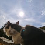 Profile Picture of David Güldner (@david.guldner.33) on Facebook