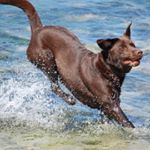 Profile Picture of Ursula Meyer (@ursel60) on Instagram