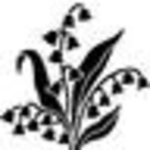 Profile Picture of Etsuko Yamada (@ecchan) on Flickr