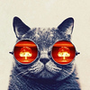 Profile Picture of wang zhao (@wzfrag) on Flickr