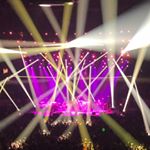 Profile Picture of Adam Leong (@frogleg) on Instagram