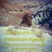 Profile Picture of Luke Hollenbeck (@luke.hollenbeck.14) on Facebook