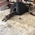 Profile Picture of Sonja Andrews (@sonja.andrewsberrett) on Instagram