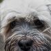 Profile Picture of Colin Freeman (@colinmuso) on Pinterest