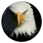 Profile Picture of پردنگون (@pordangun) on Instagram