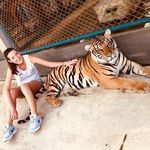 Profile Picture of Jessica Laughlin (@jlaughlin25) on Instagram