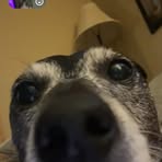 Profile Picture of Hagen Garrett (@Hagen-Garrett) on Facebook